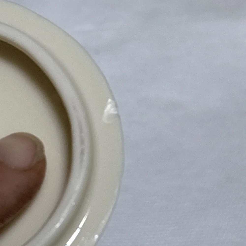 Lenox small chip